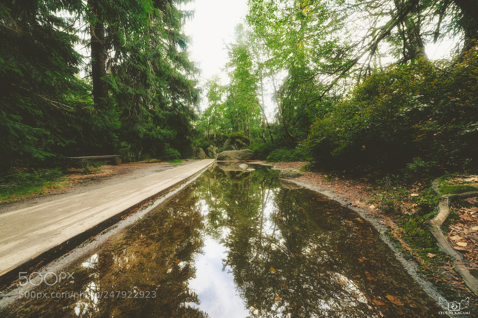 Nikon D700 sample photo. Nature #18 photography