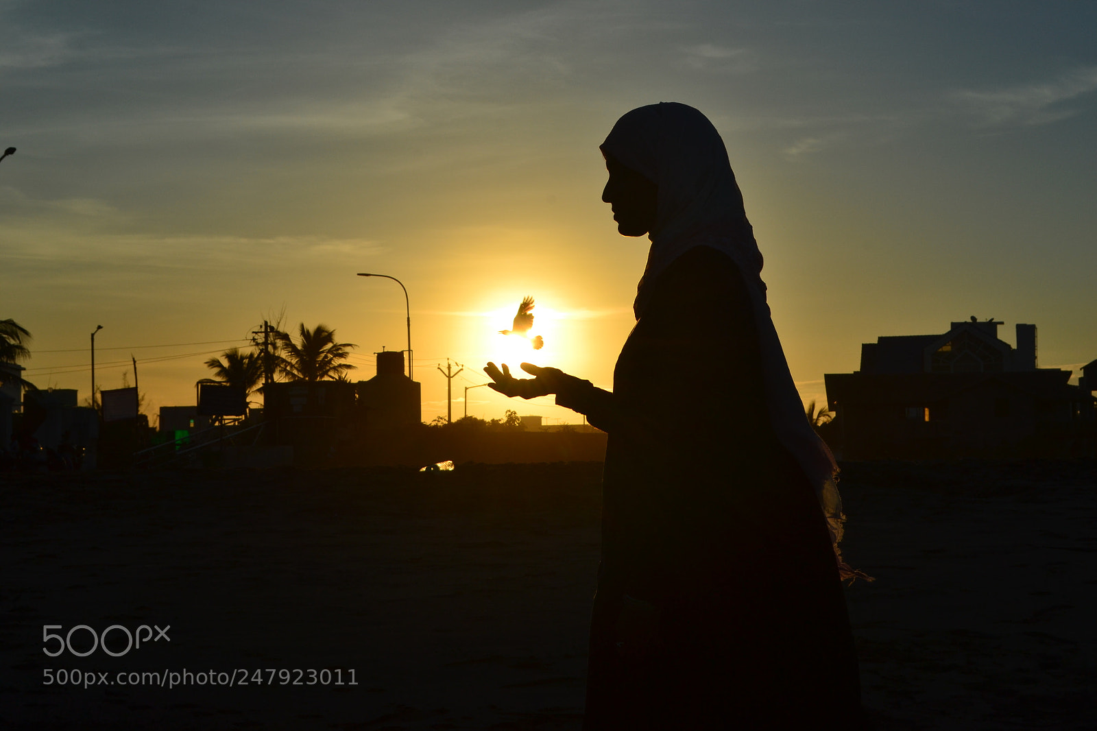 Nikon D3100 sample photo. At the right time.. photography