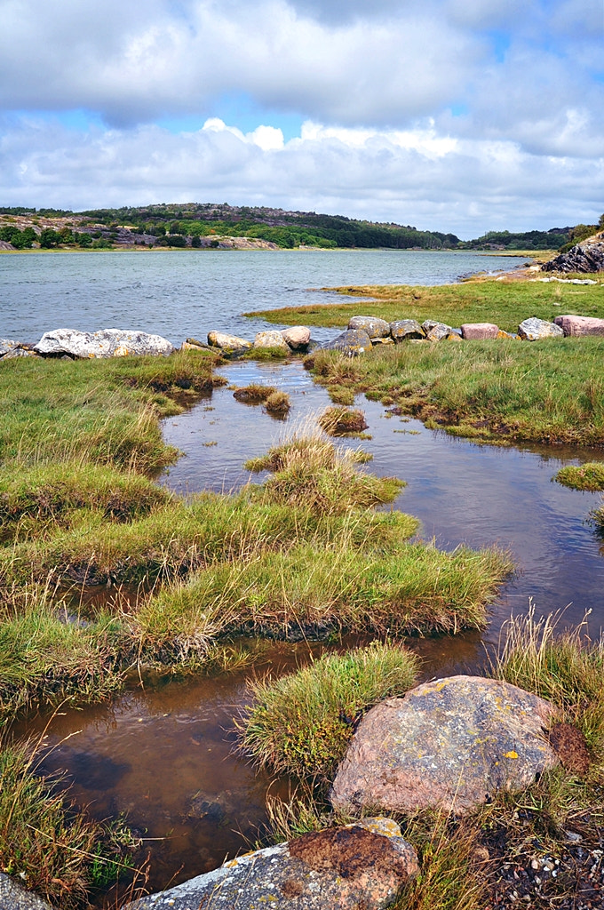 Nikon D5000 sample photo. Summer on tjörn photography