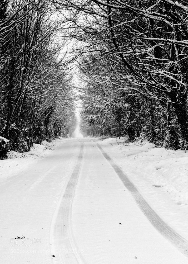 Nikon D7100 sample photo. Snow road to the photography