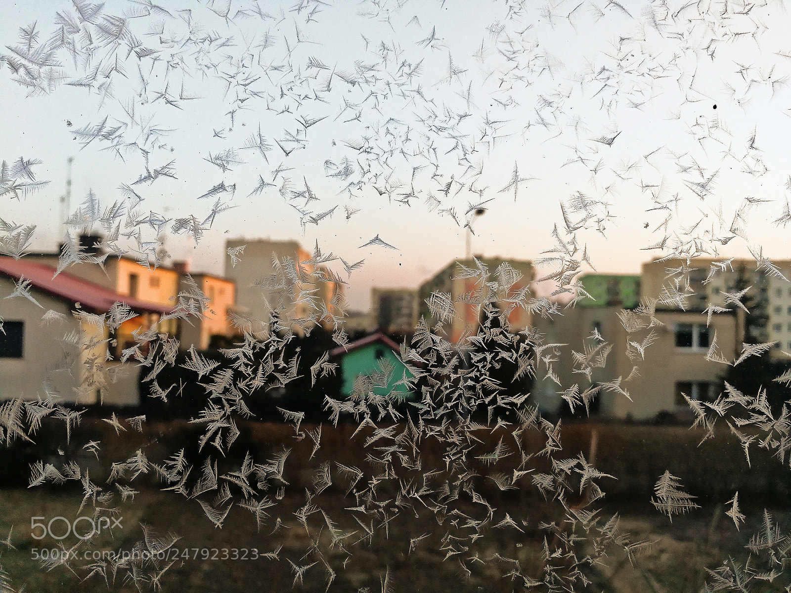 HUAWEI P10 sample photo. Untitled photography