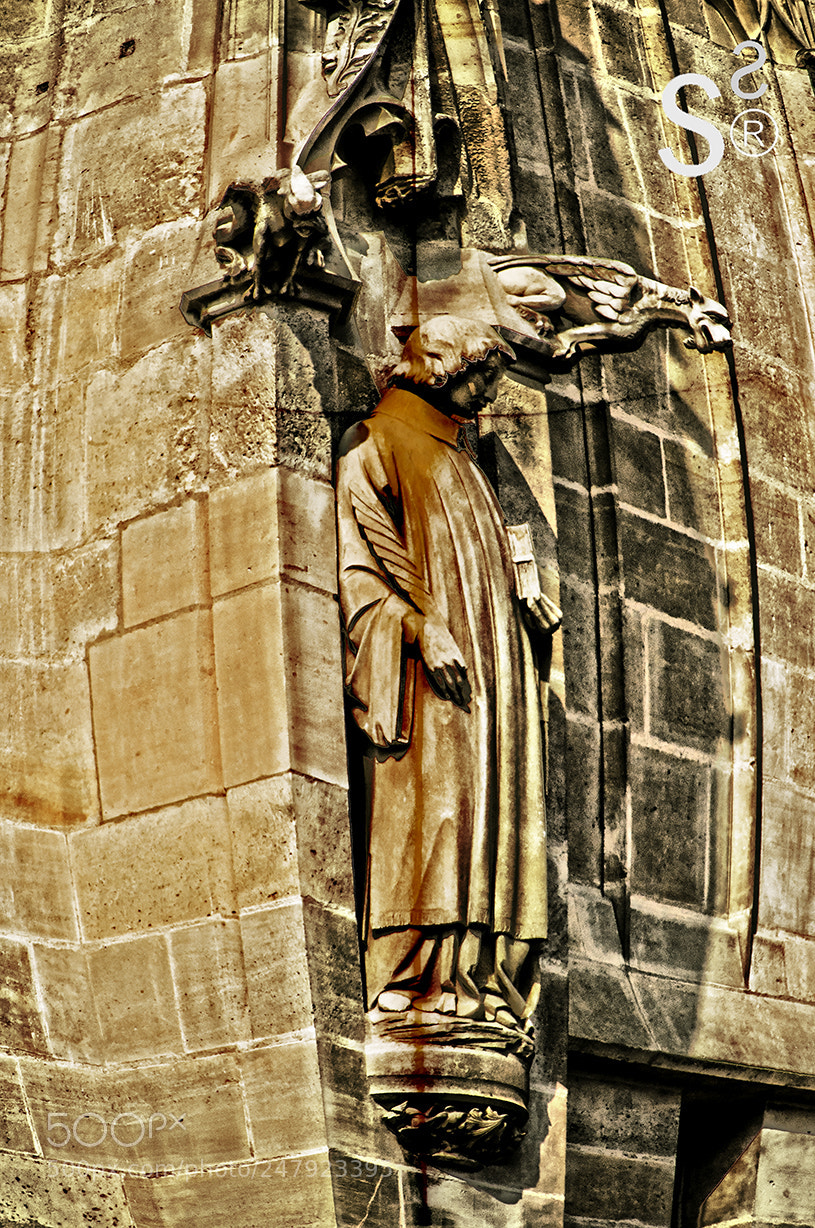 Nikon D700 sample photo. Paf 3 photography