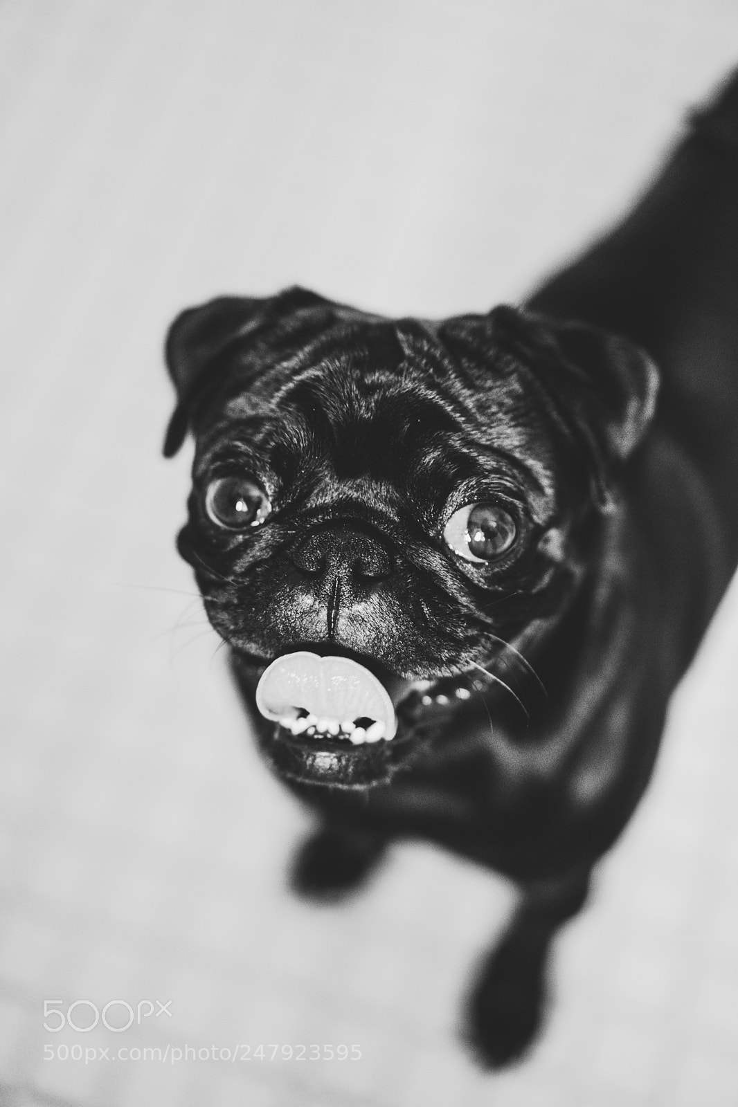 Sony a7 II sample photo. Hercules photography