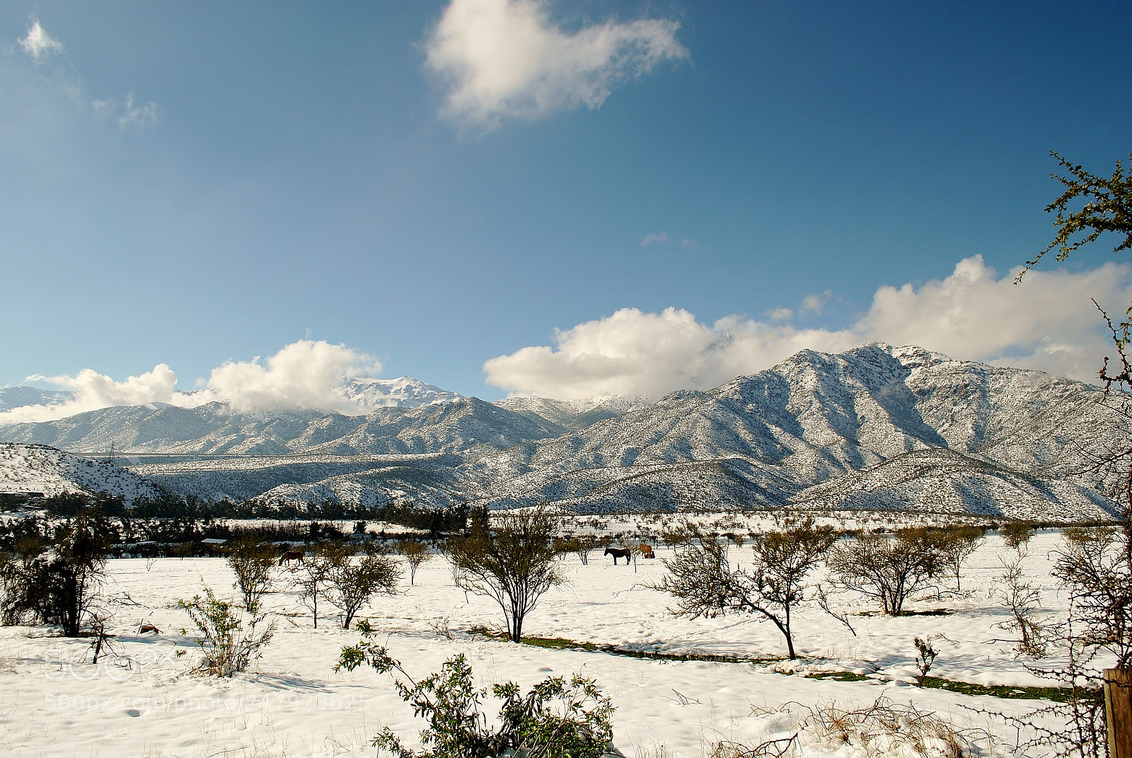 Nikon D3000 sample photo. Peacefull photography