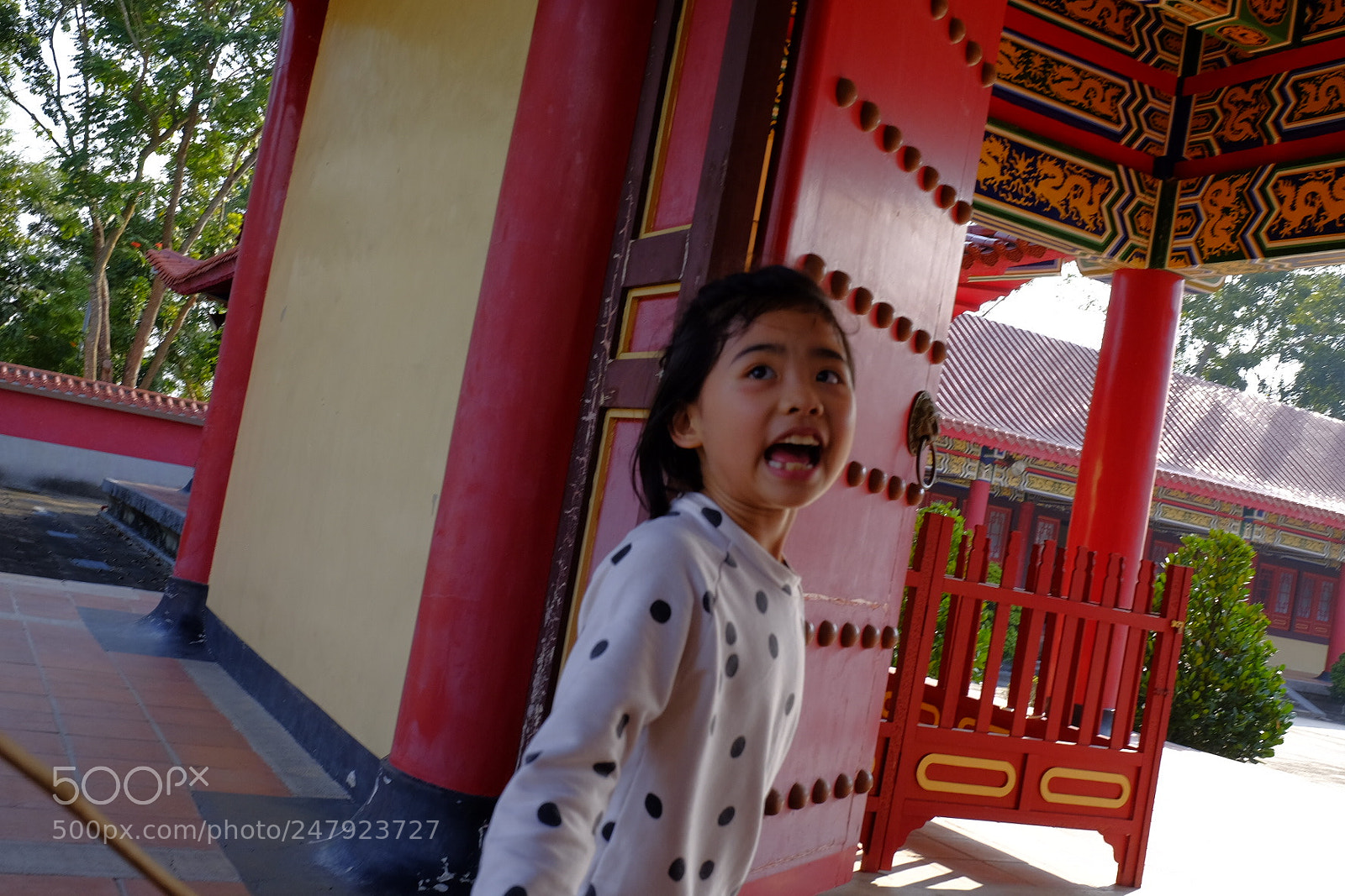 Fujifilm X-T1 sample photo. Untitled photography