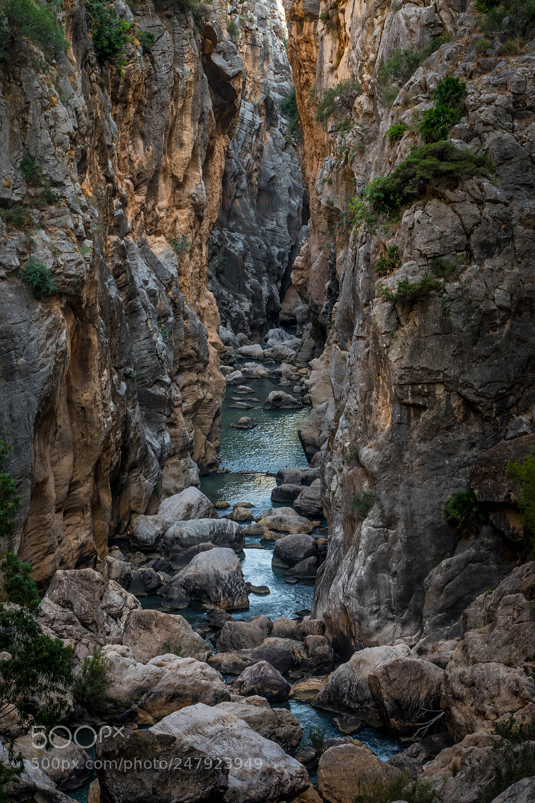Nikon D500 sample photo. Caminito del rey 1 photography