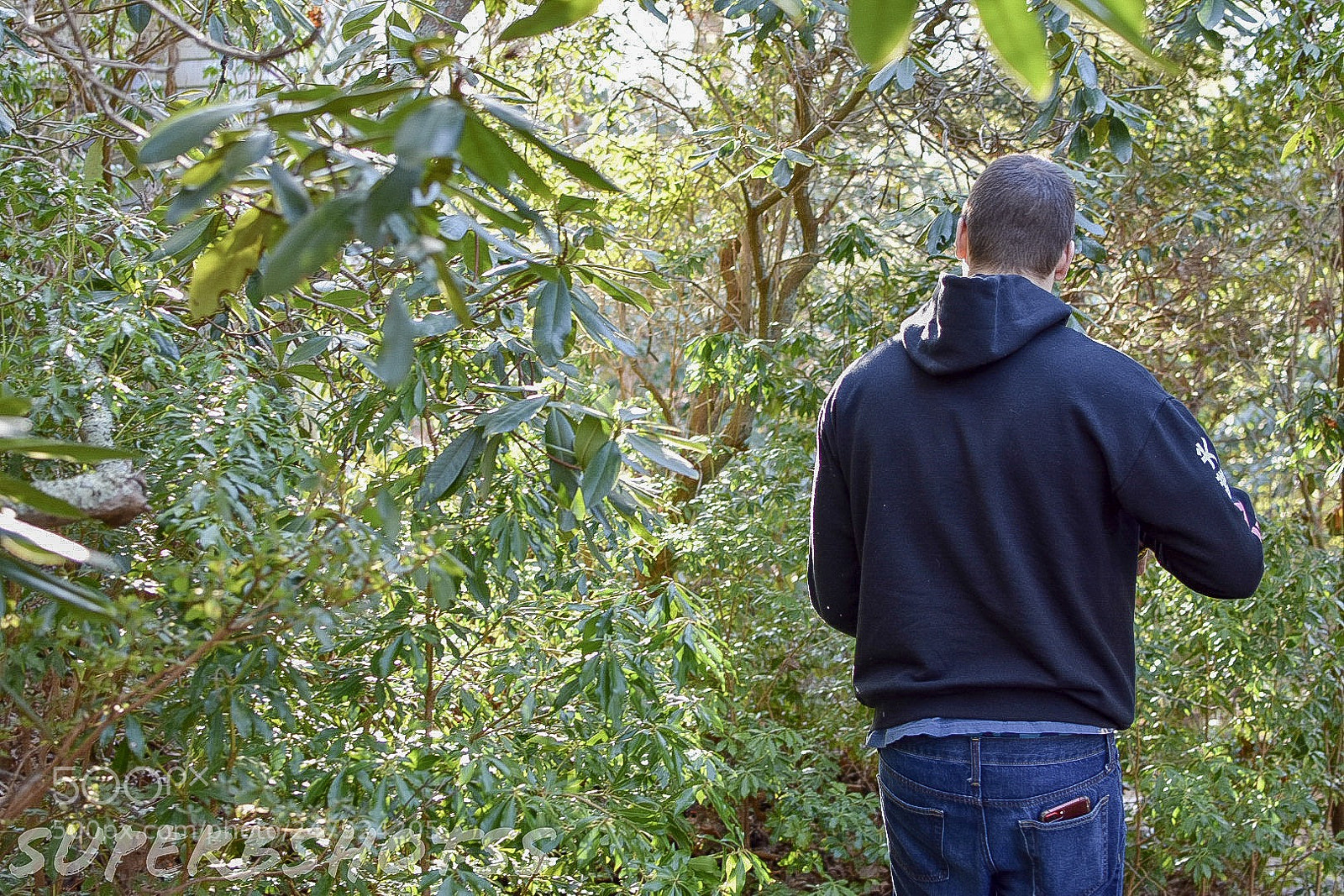 Nikon D3400 sample photo. Spohr garden, ma photography