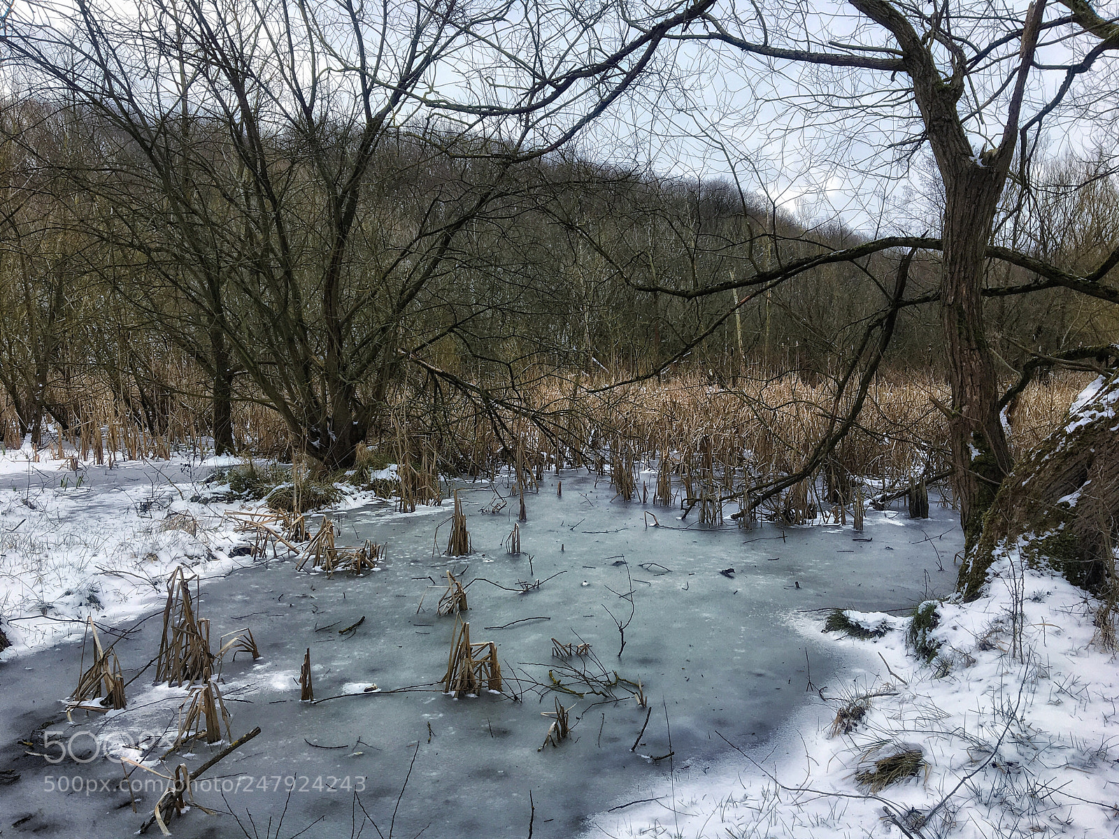 Apple iPhone 6s sample photo. Frozen england photography