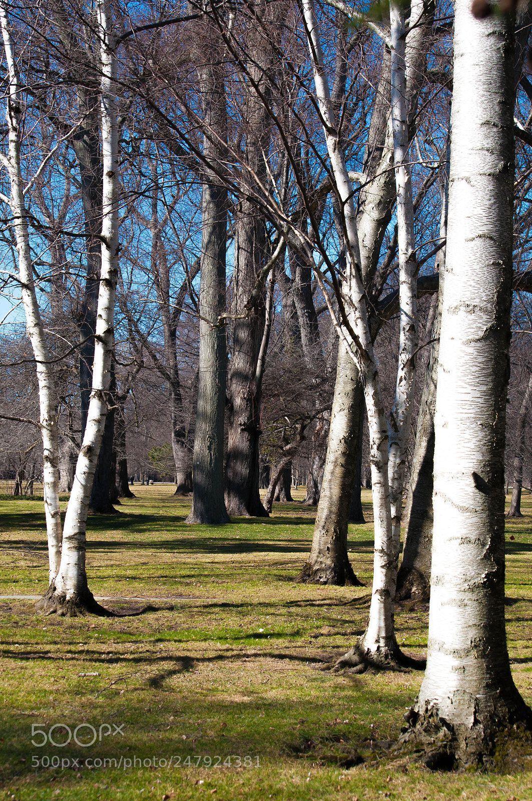 Nikon D90 sample photo. Silver clarity photography