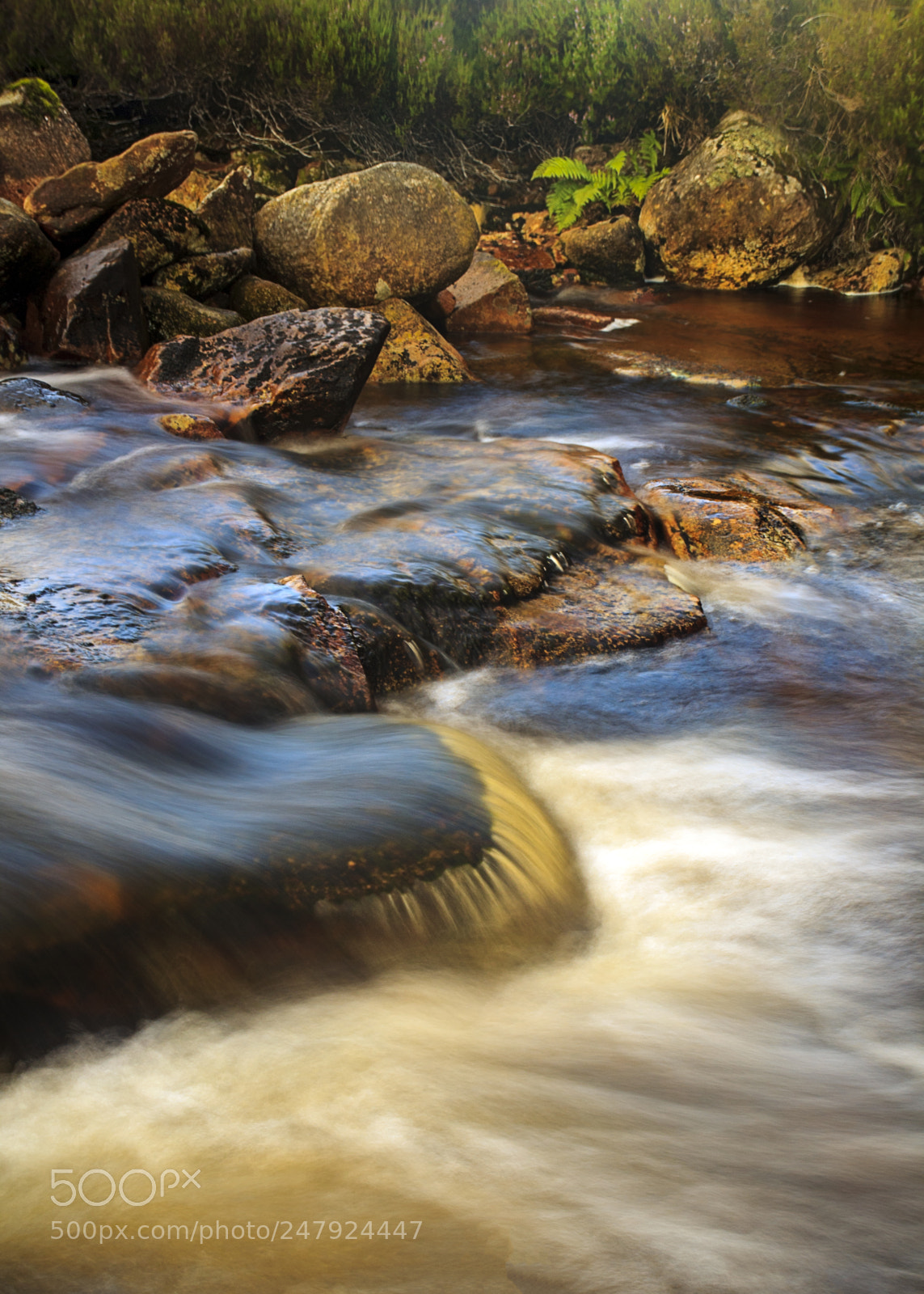 Canon EOS 60D sample photo. The flow photography