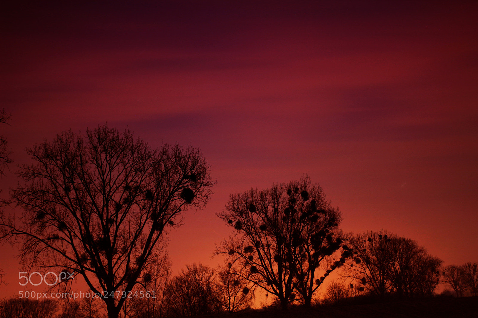Canon EOS 1200D (EOS Rebel T5 / EOS Kiss X70 / EOS Hi) sample photo. Red sky photography