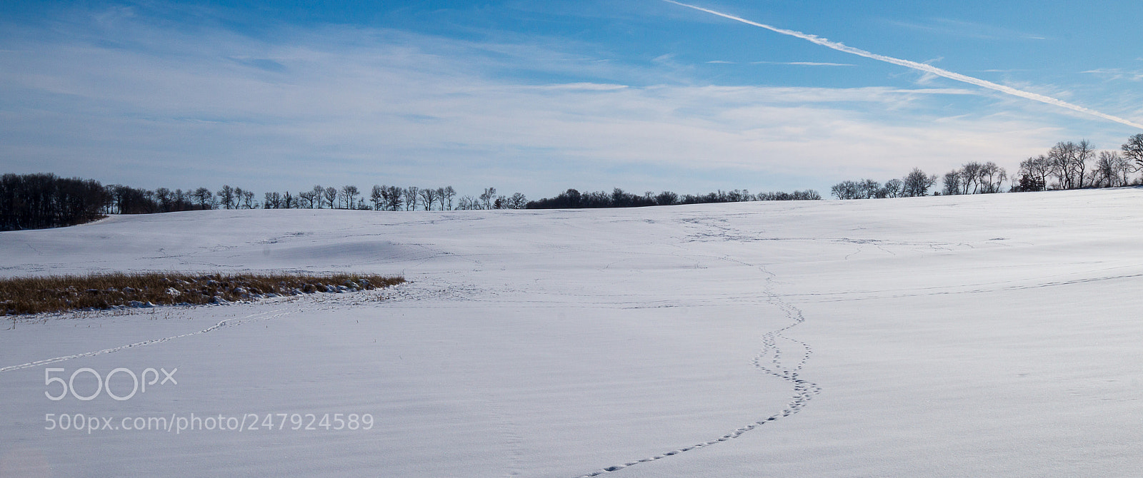 Sony SLT-A58 sample photo. Tracks in the snow photography