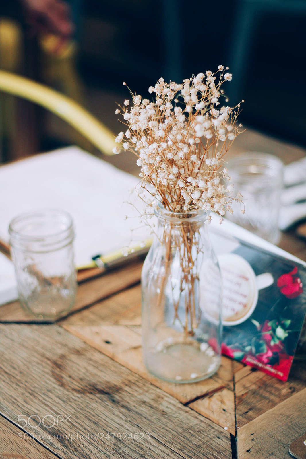 Canon EOS 1200D (EOS Rebel T5 / EOS Kiss X70 / EOS Hi) sample photo. Baby's breath photography