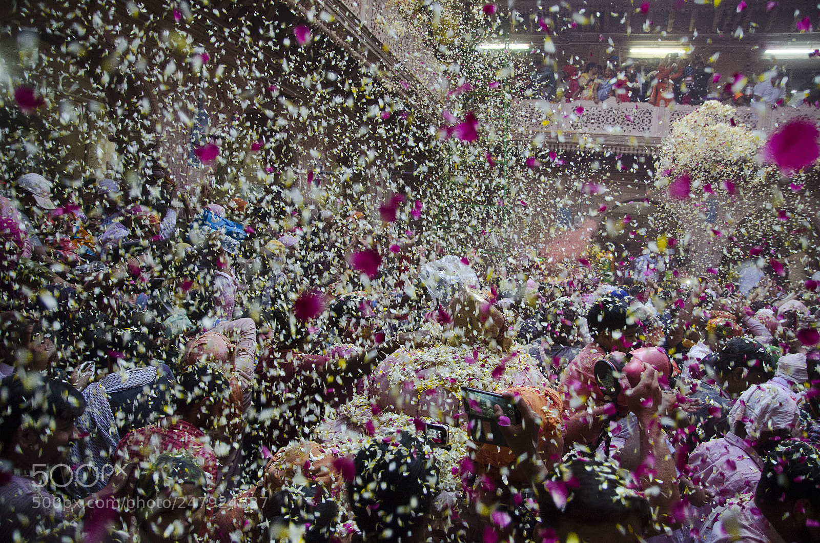 Nikon D5100 sample photo. Flower holi photography