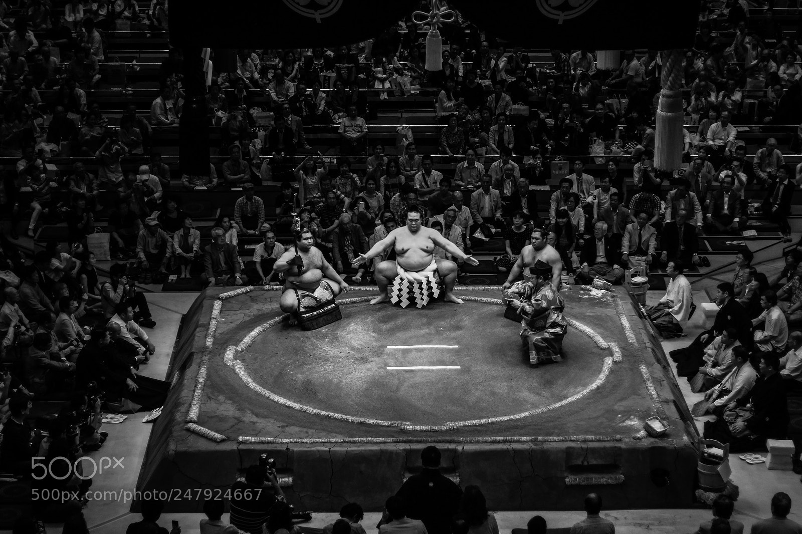 Canon EOS 650D (EOS Rebel T4i / EOS Kiss X6i) sample photo. Sumo preparing for fight photography