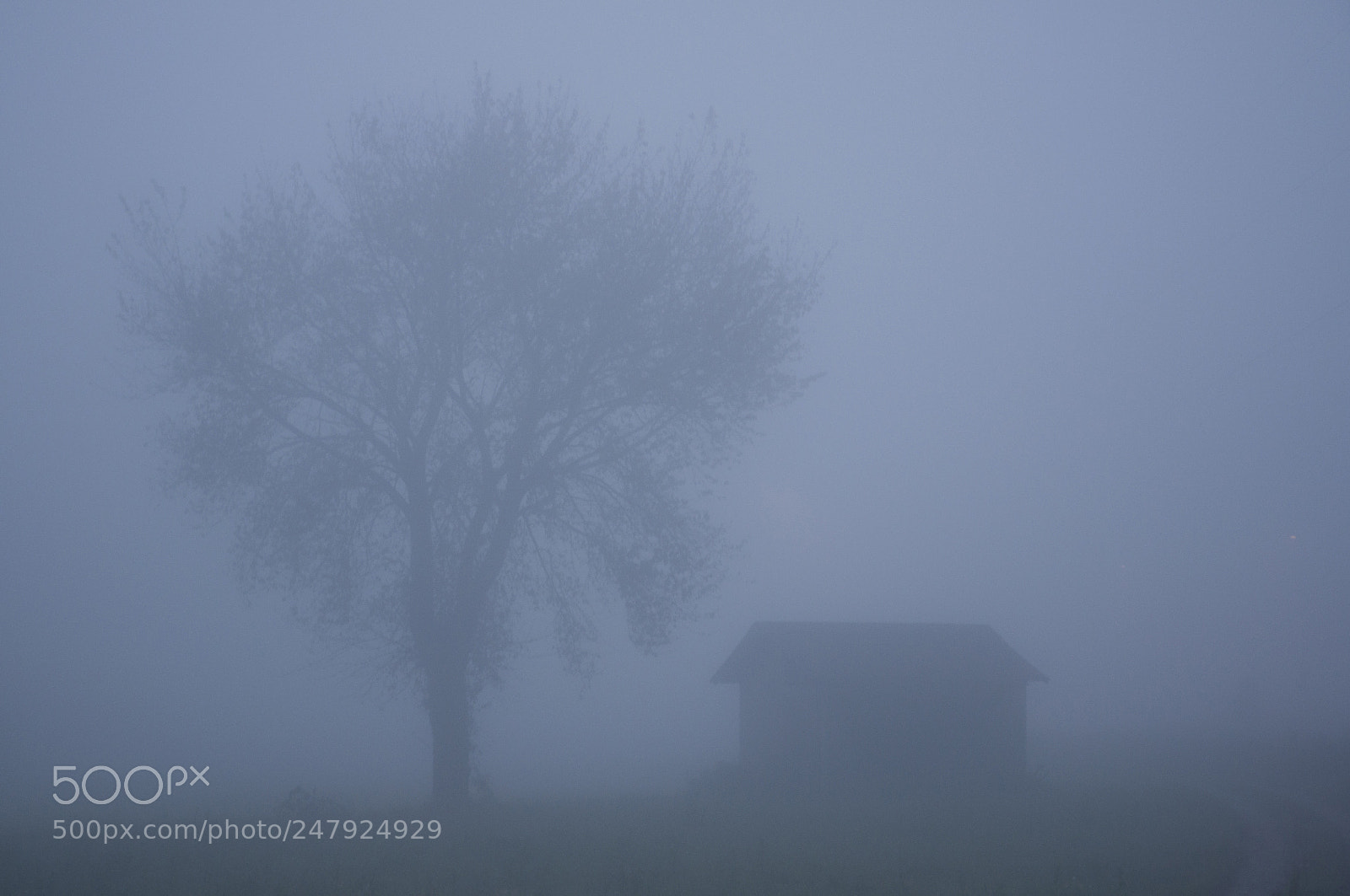 Nikon D90 sample photo. The fog in countryside. photography