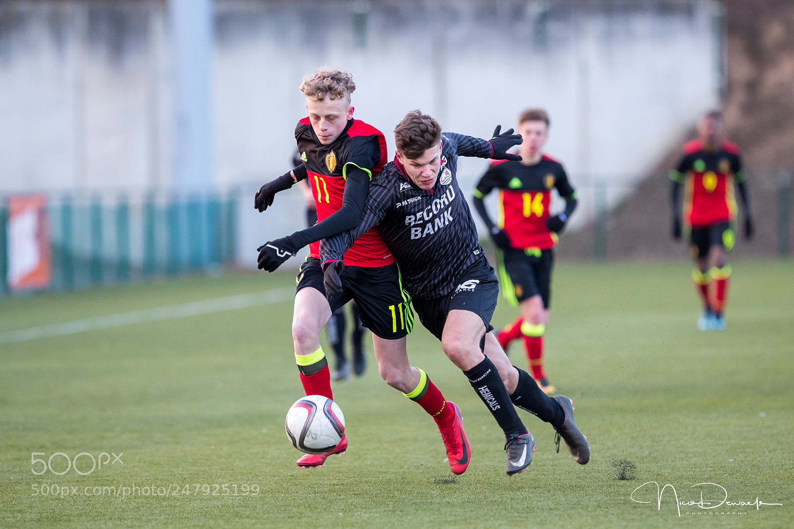 Canon EOS-1D X Mark II sample photo. U17f belgium - sv photography