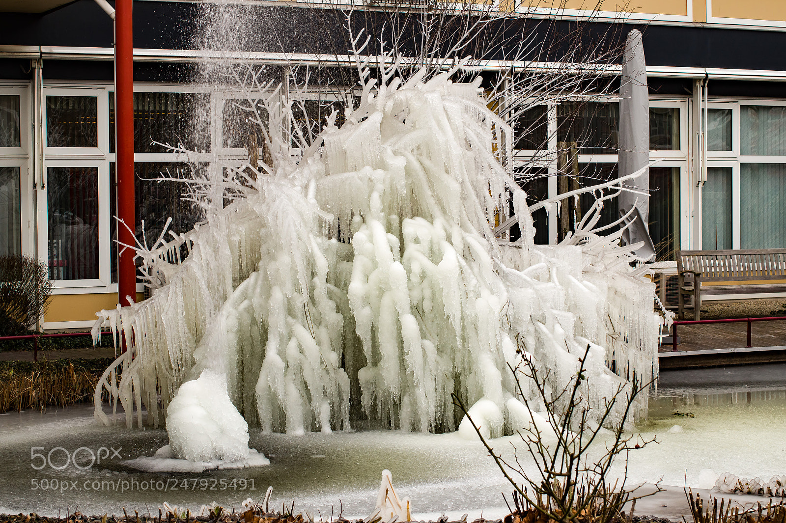Sony SLT-A58 sample photo. Natural art photography