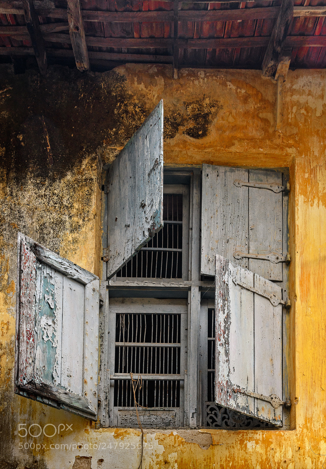 Nikon D850 sample photo. Kochi window photography