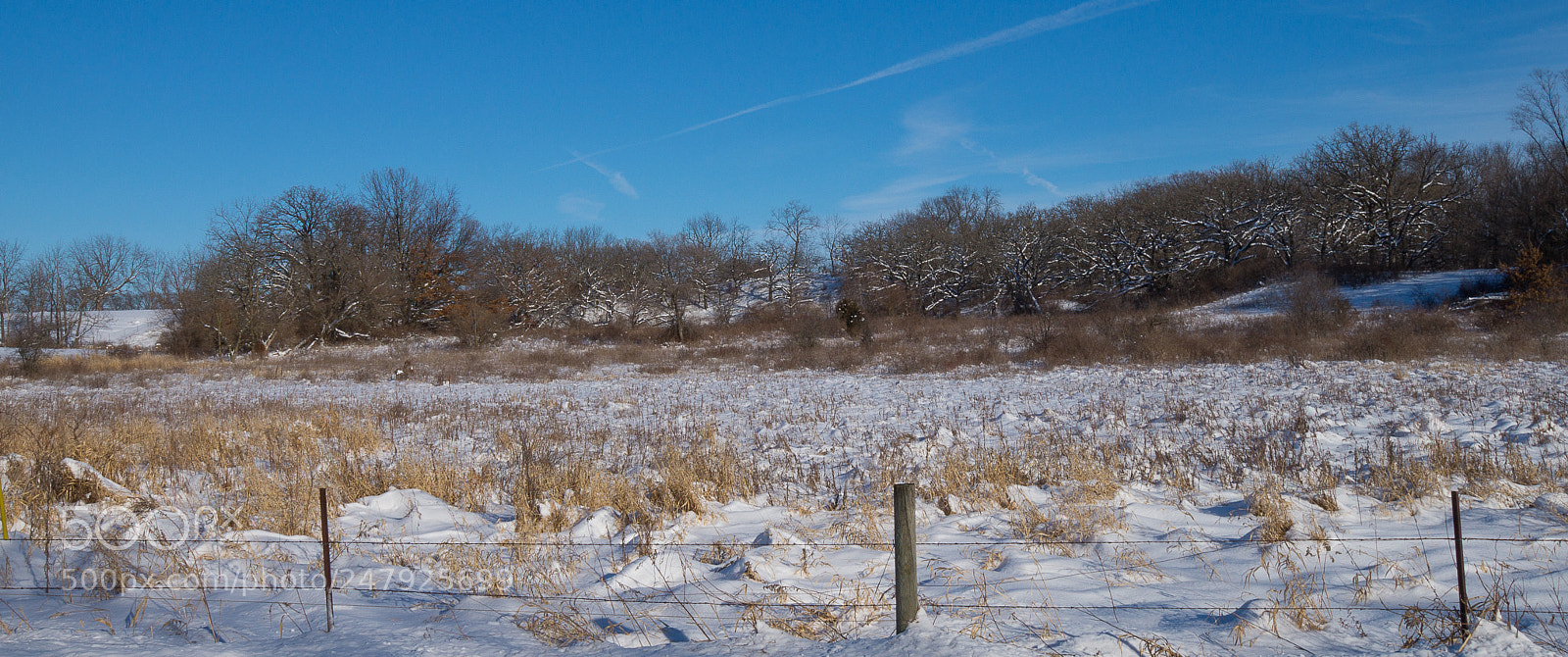 Sony SLT-A58 sample photo. Rural wisconsin in the photography