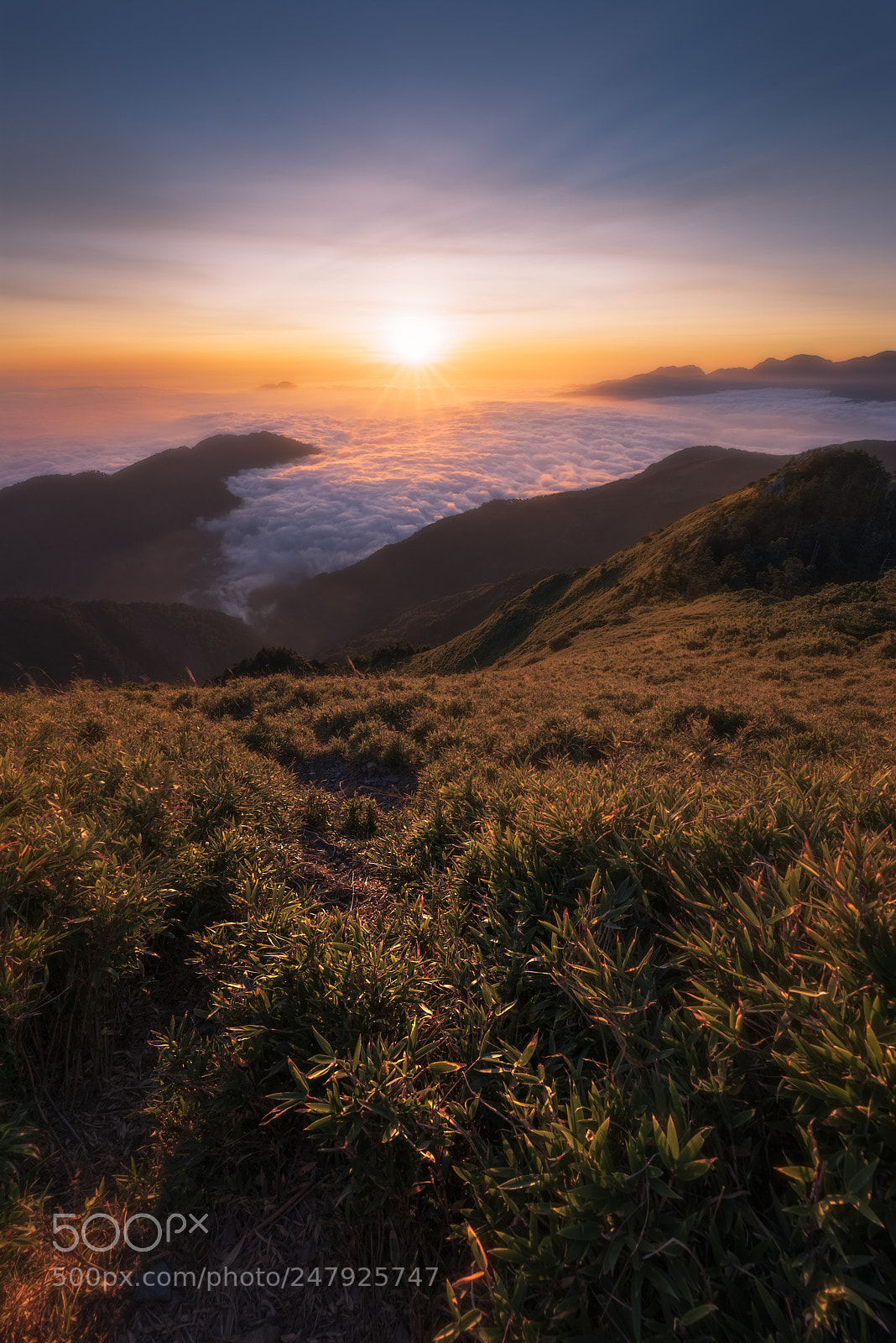 Nikon D810 sample photo. Sunset over sea of photography