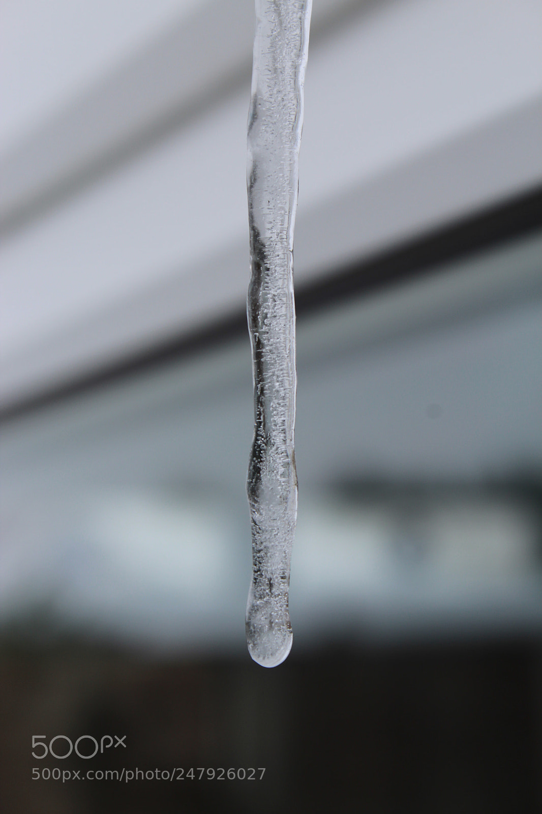 Canon EOS 1300D (EOS Rebel T6 / EOS Kiss X80) sample photo. Ice photography