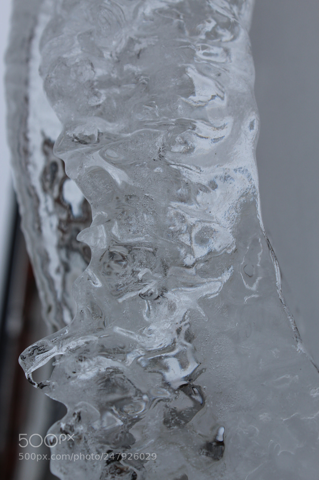 Canon EOS 1300D (EOS Rebel T6 / EOS Kiss X80) sample photo. Ice b photography