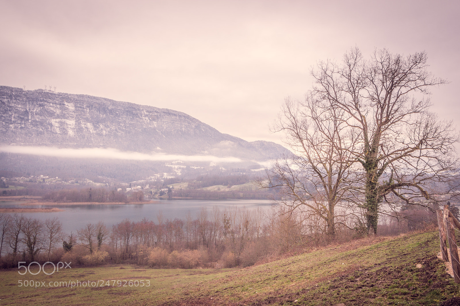 Canon EOS 650D (EOS Rebel T4i / EOS Kiss X6i) sample photo. Journ e hivernale sur photography