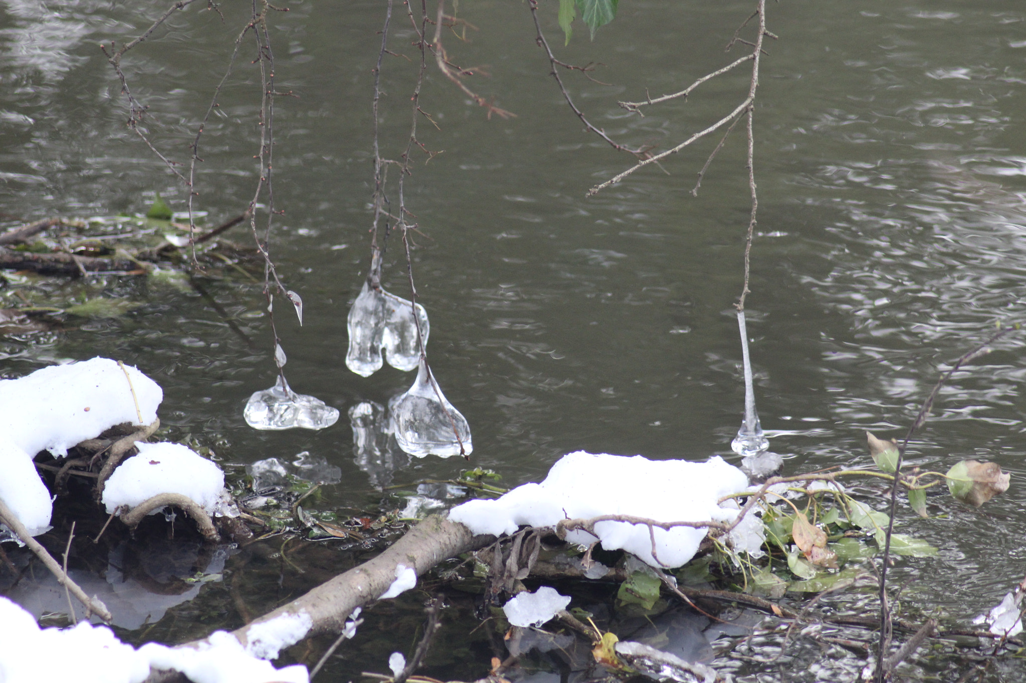 Canon EOS 1300D (EOS Rebel T6 / EOS Kiss X80) sample photo. Ice e photography