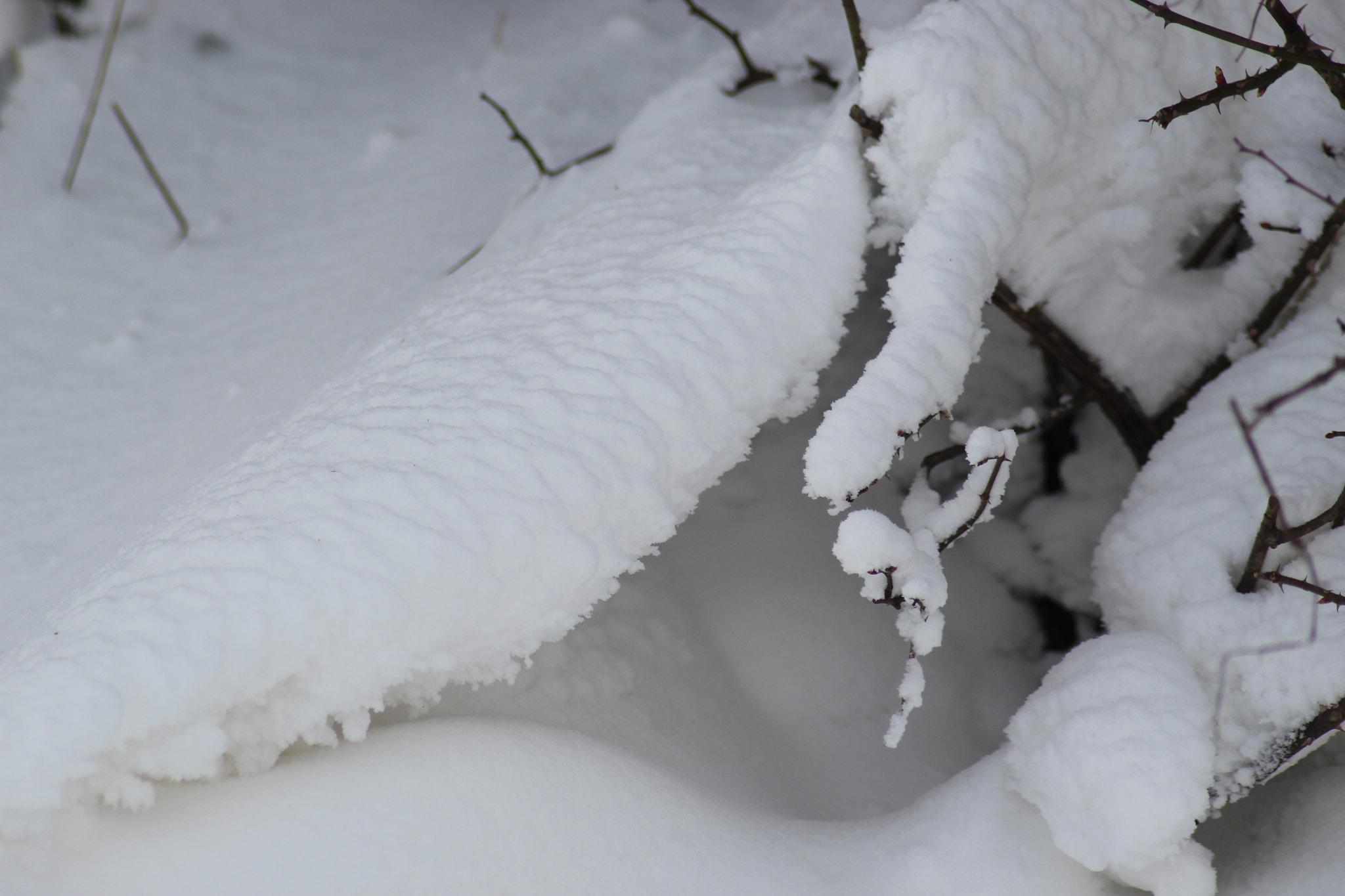 Canon EOS 1300D (EOS Rebel T6 / EOS Kiss X80) sample photo. Snow photography