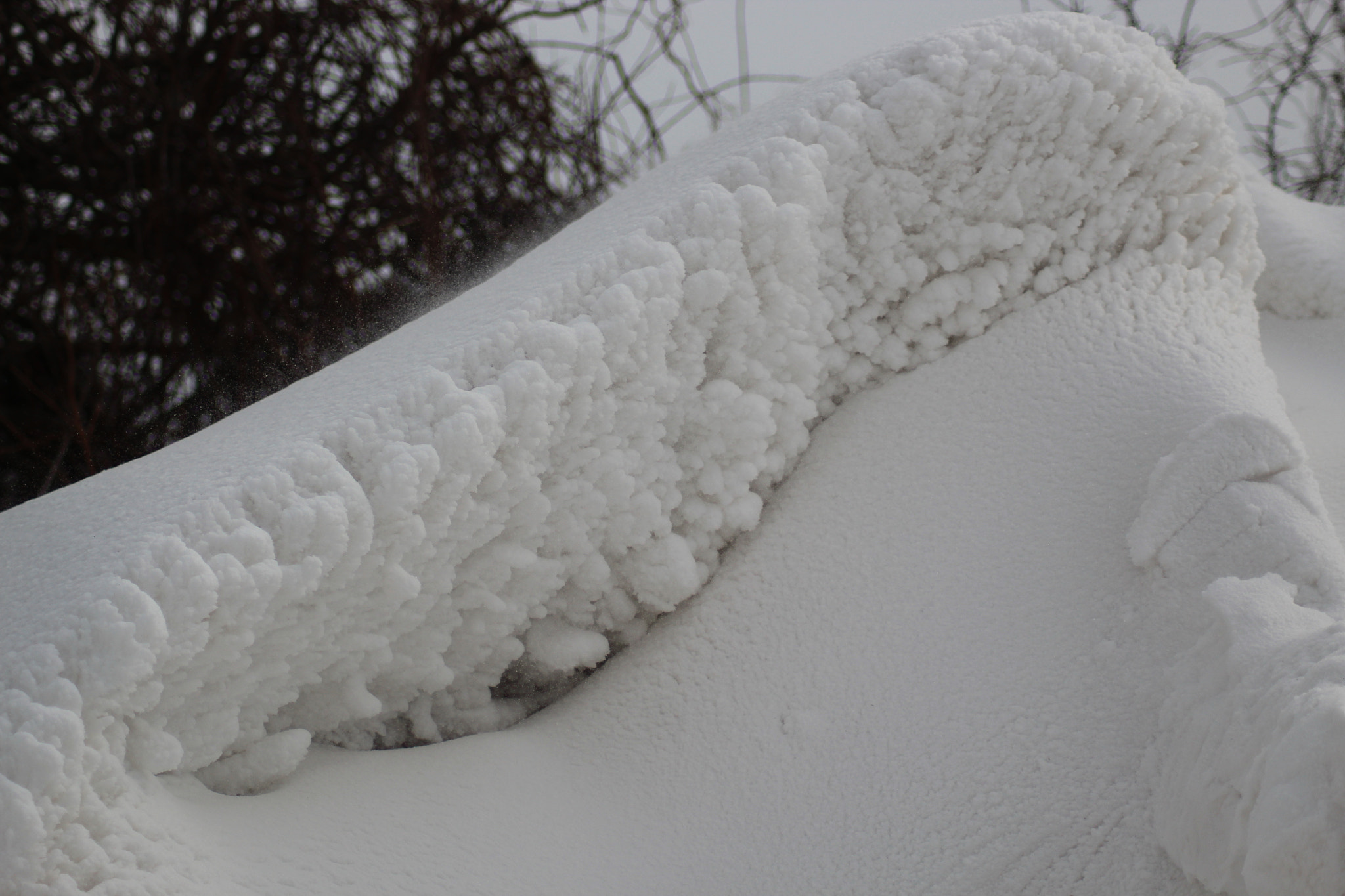 Canon EOS 1300D (EOS Rebel T6 / EOS Kiss X80) sample photo. Snow h photography