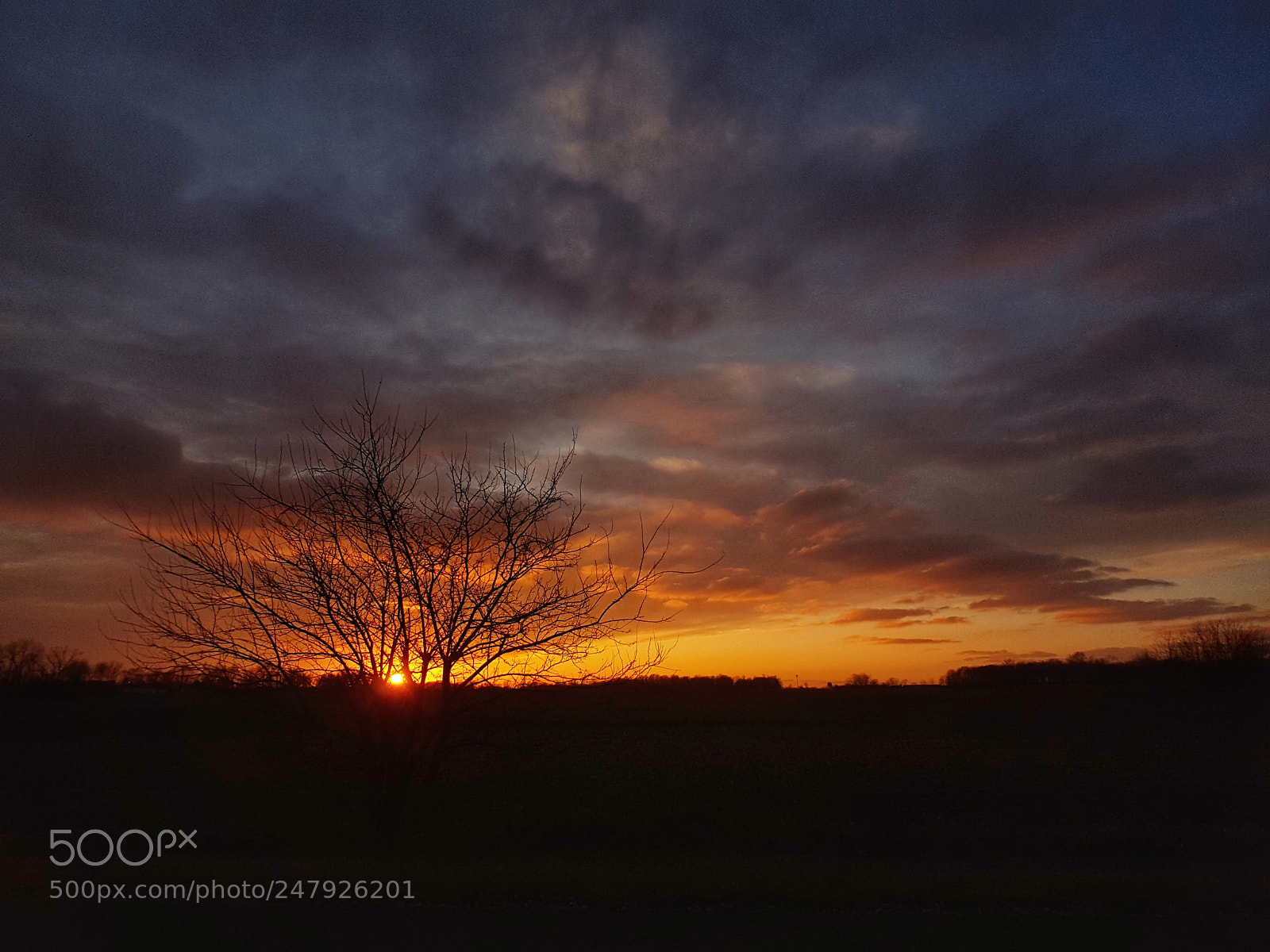Samsung GALAXY S6 edge sample photo. Silhouette sunset photography