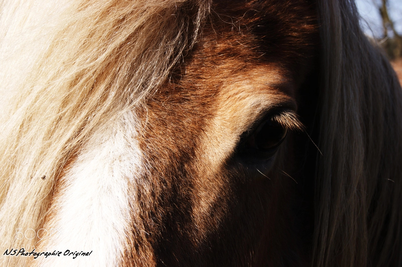 Sony Alpha DSLR-A380 sample photo. Aimer ma page svp photography