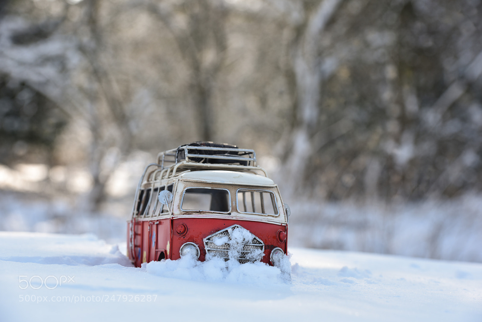 Nikon D810 sample photo. Stuck in the snow photography