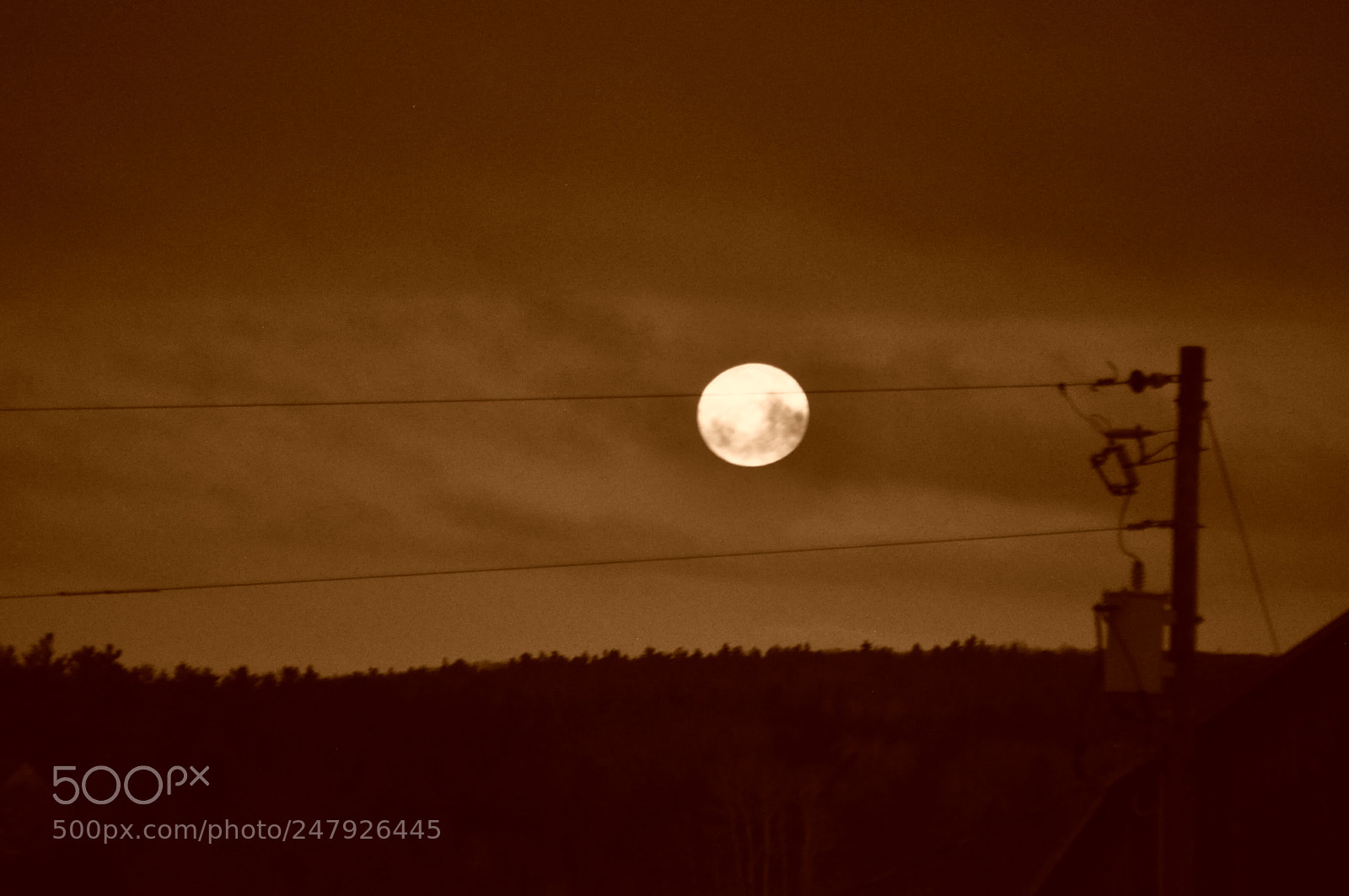 Nikon D5000 sample photo. Sepia moon photography