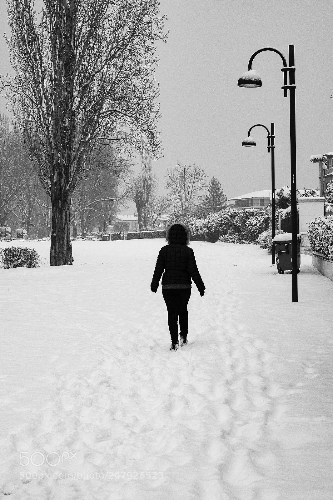 Fujifilm X-T10 sample photo. .. quattro passi nella neve ... photography