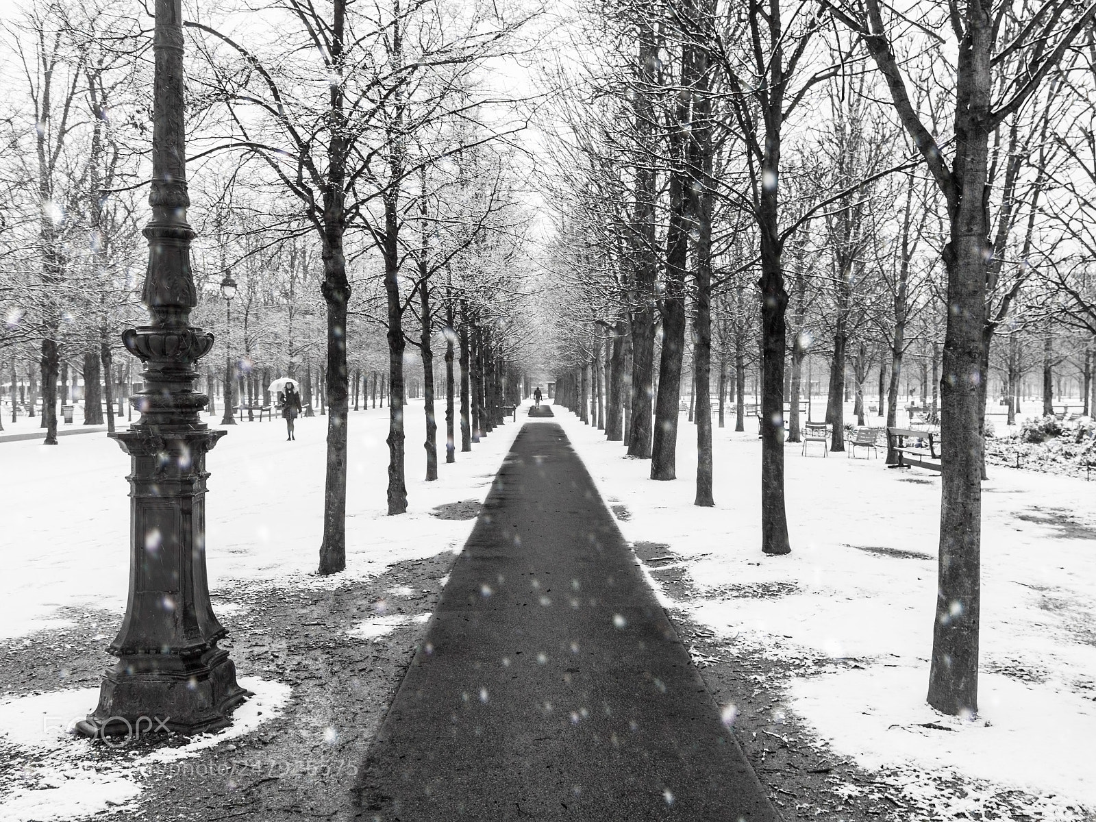 Nikon D3200 sample photo. Tuilerie path under the photography