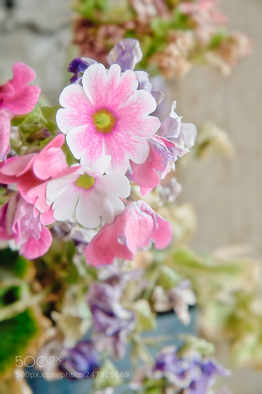Nikon D90 sample photo. Beautiful and warm pink photography