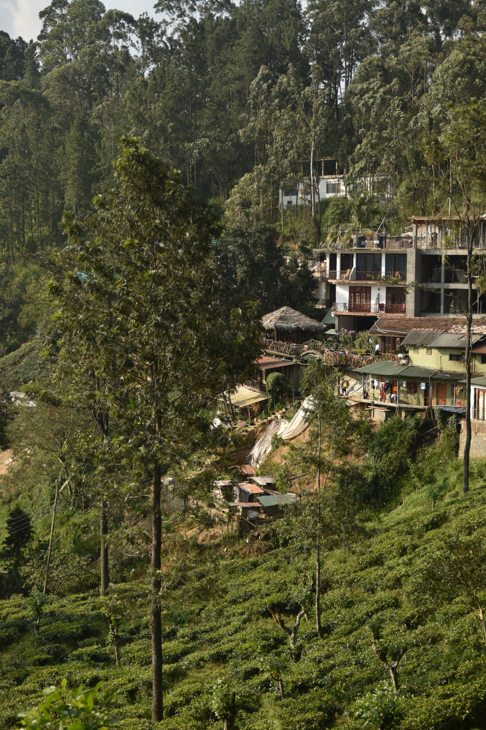 Nikon D5500 + Tamron SP 24-70mm F2.8 Di VC USD sample photo. Houses on the ella hillside photography