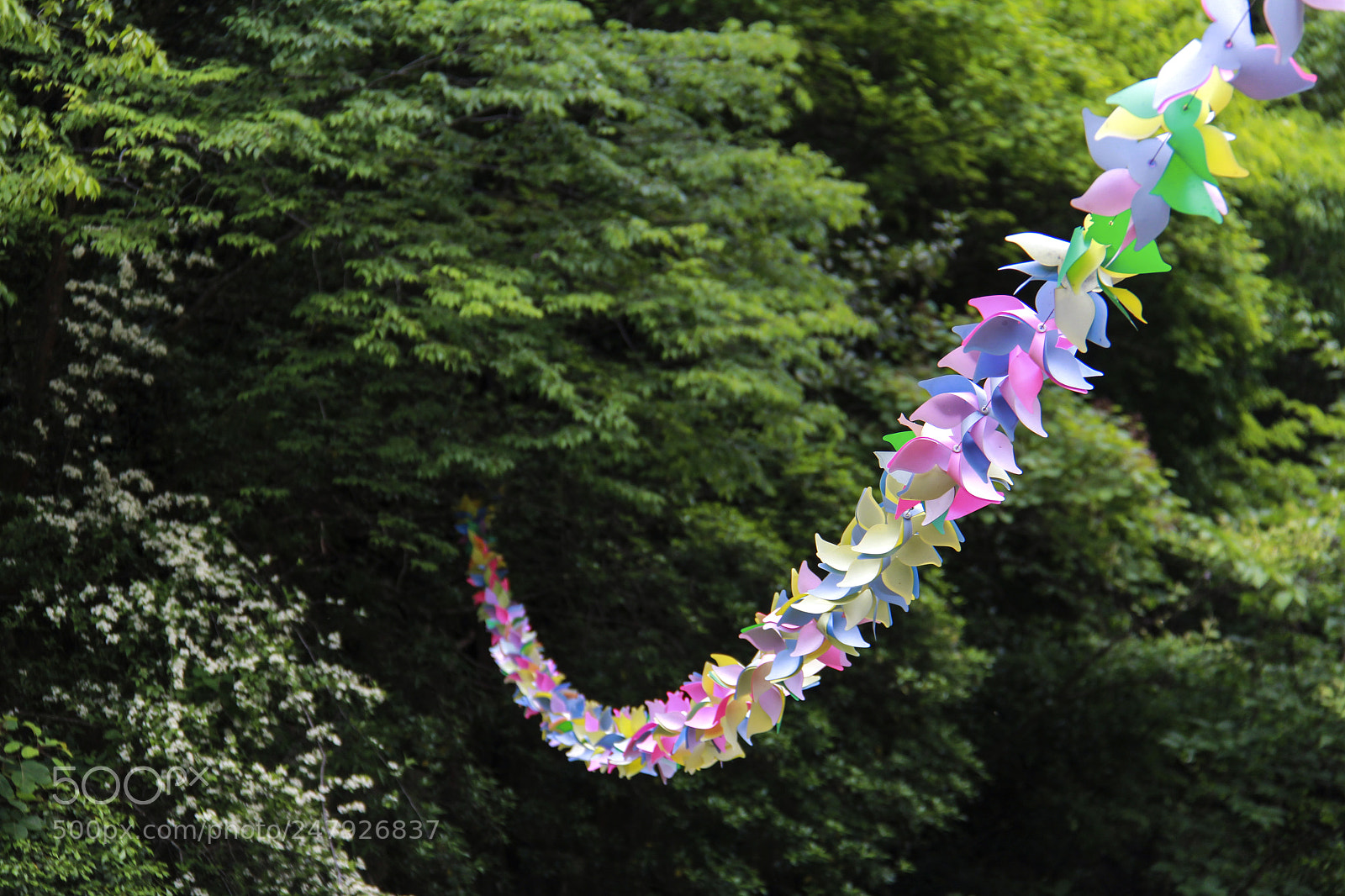 Canon EOS 60D sample photo. Untitled photography