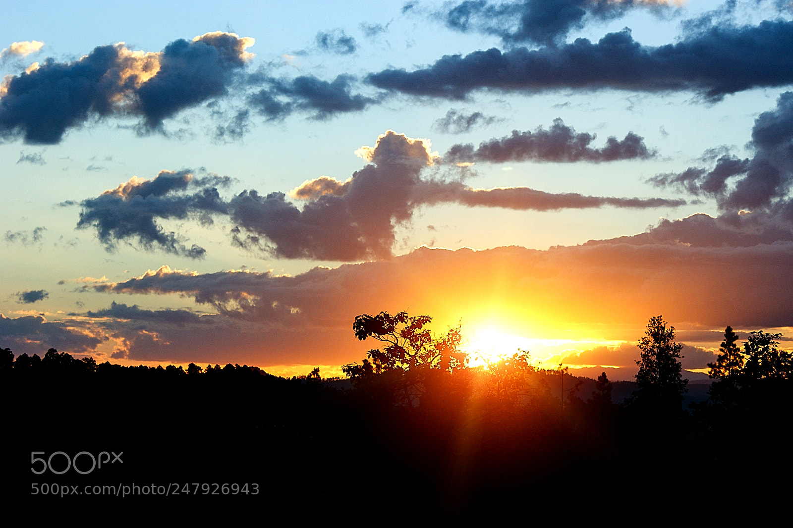 Sony Alpha DSLR-A350 sample photo. Blue sky and orange photography