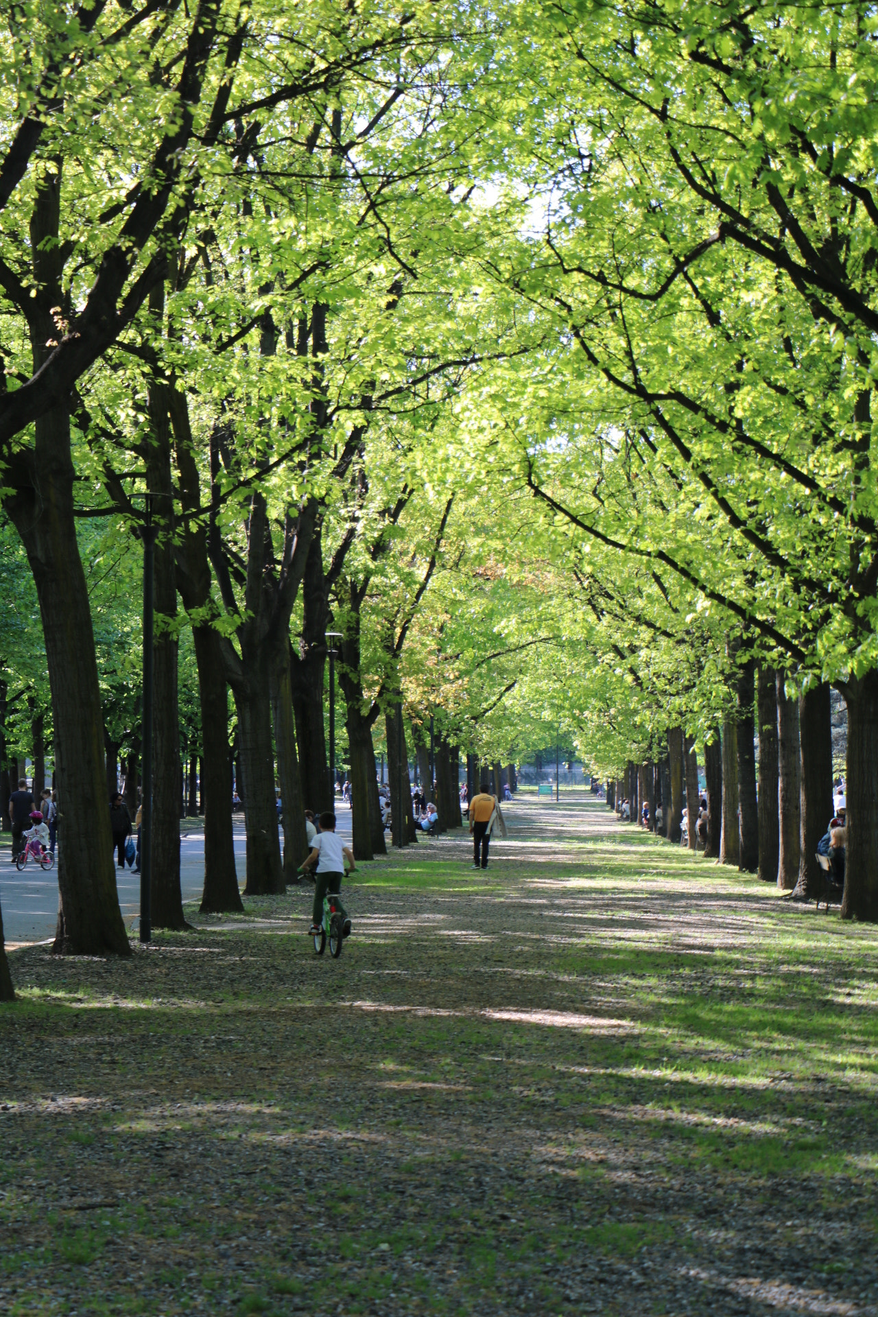 Canon EOS 760D (EOS Rebel T6s / EOS 8000D) sample photo