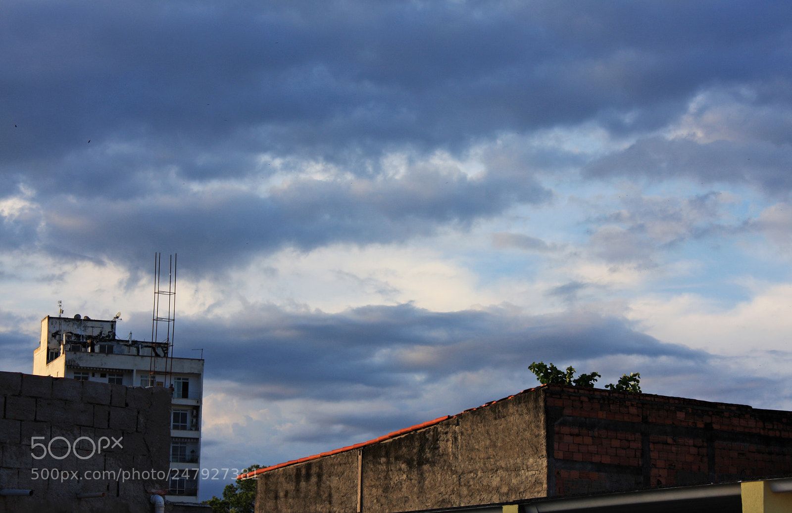 Canon EOS 40D sample photo. Eyebrow pics photography