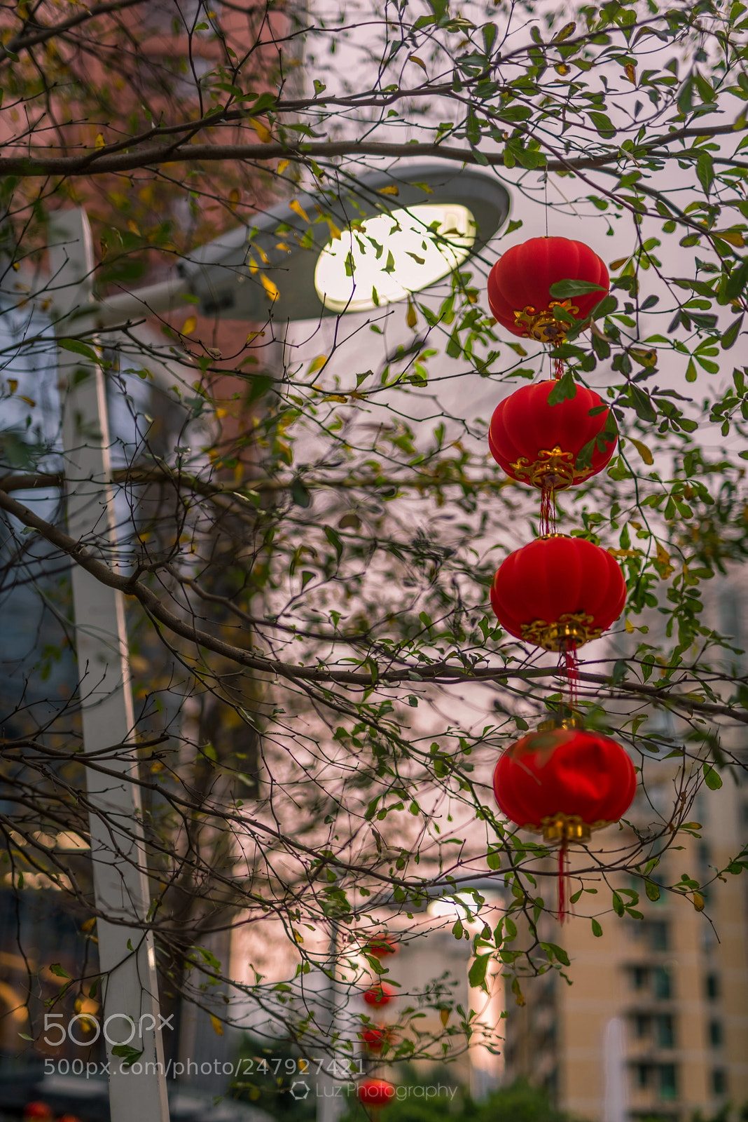 Nikon D810 sample photo. Sunset, leaves and lanterns photography