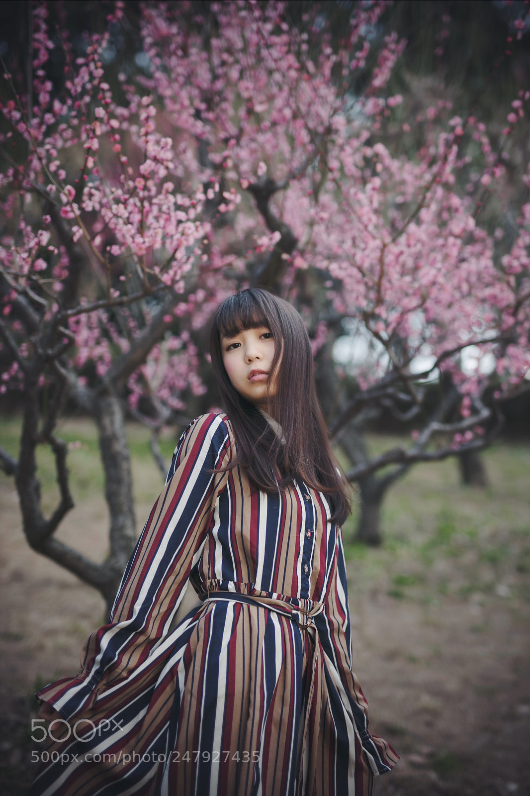 Canon EOS 5DS sample photo. Sora photography
