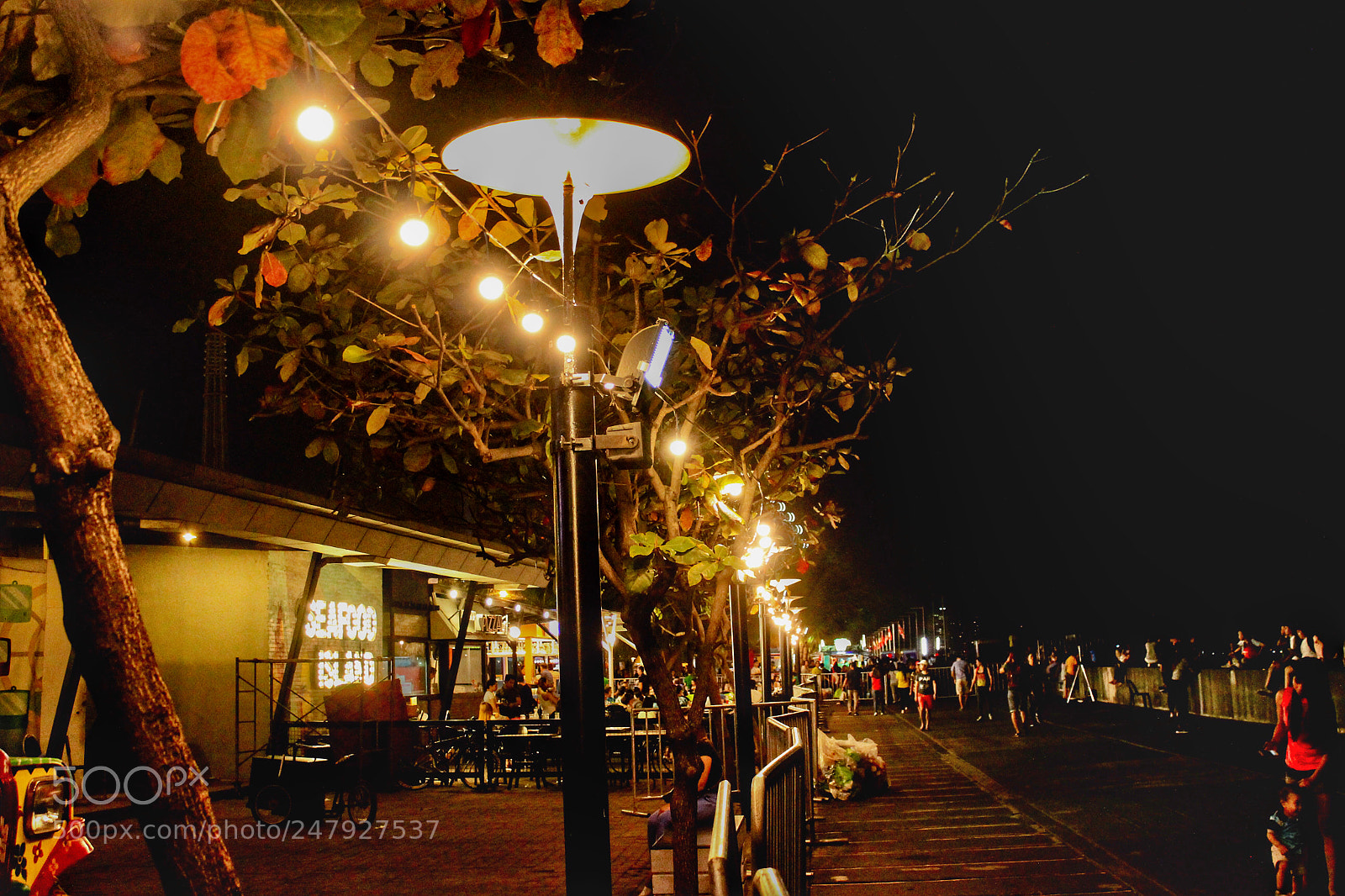 Canon EOS 600D (Rebel EOS T3i / EOS Kiss X5) sample photo. Night street photography