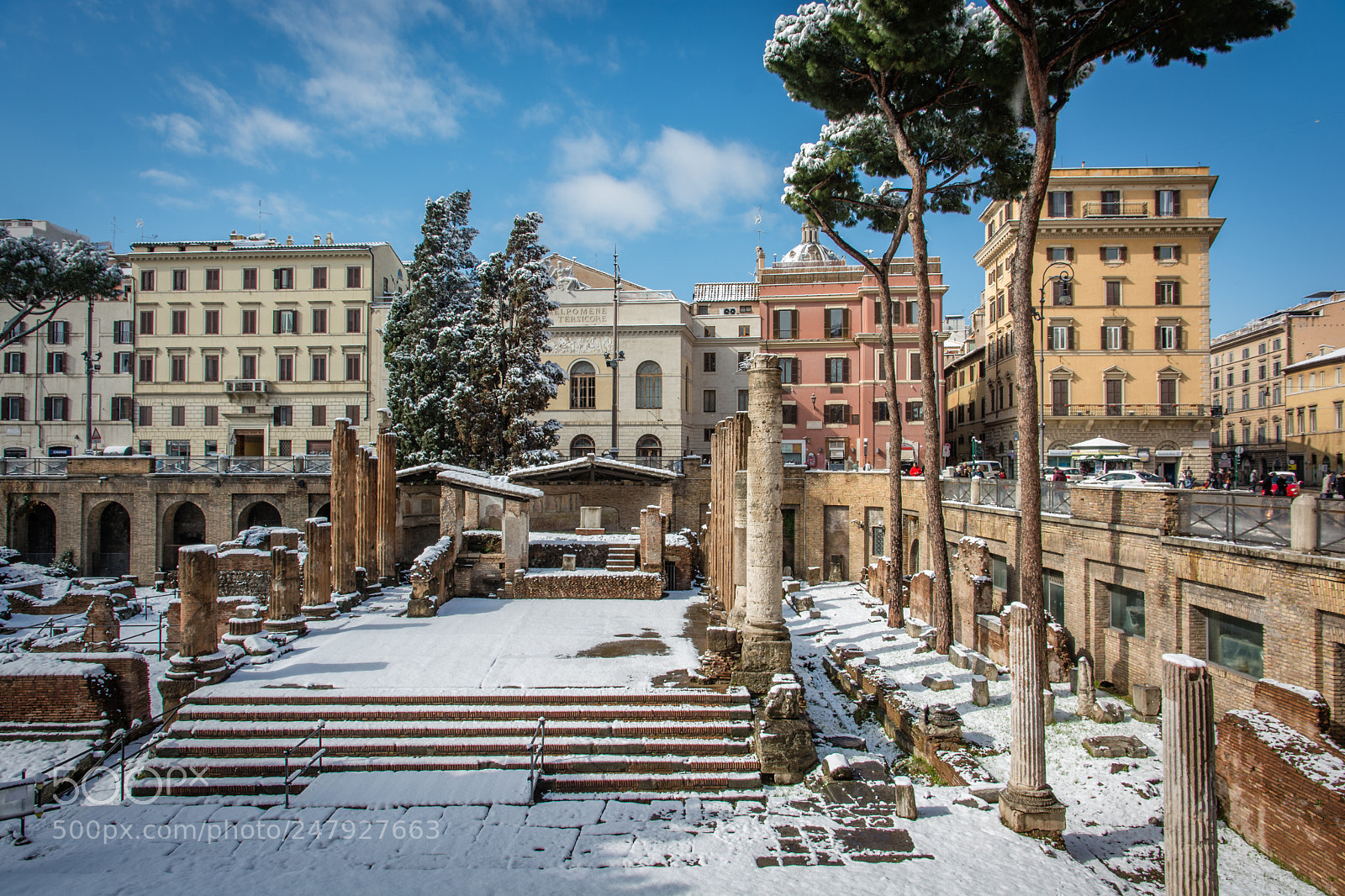 Nikon D7100 sample photo. Largo di torre argentina photography