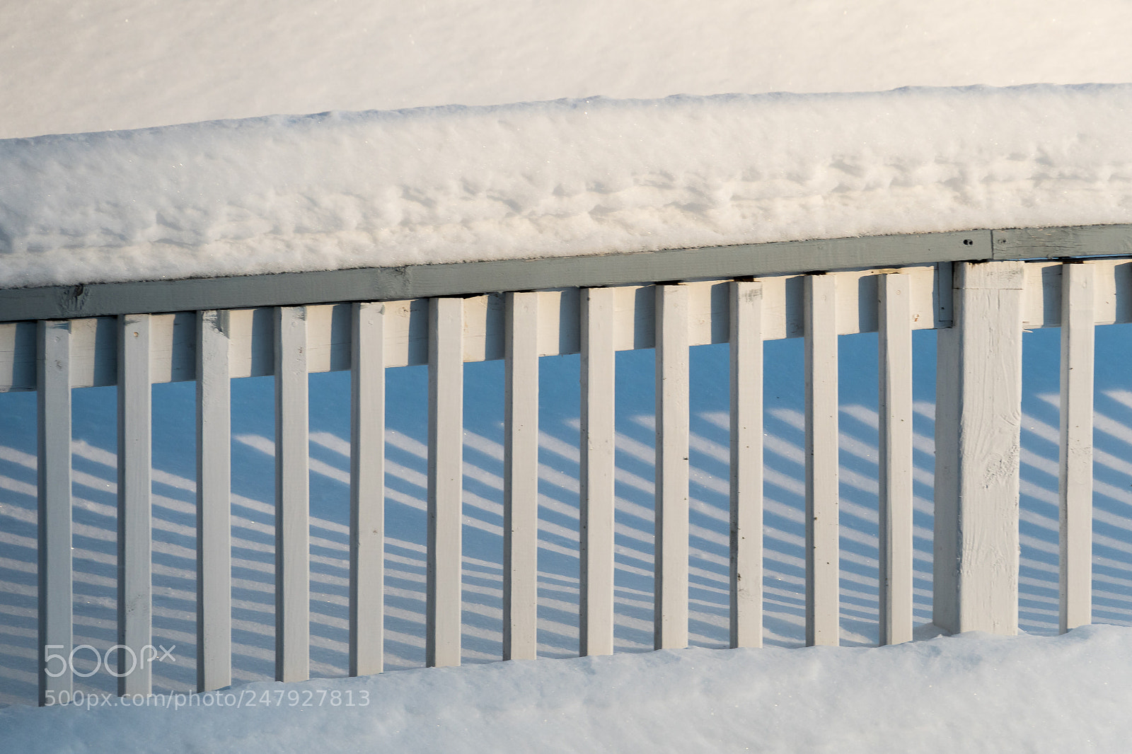 Sony a6300 sample photo. 'happy fence friday' photography
