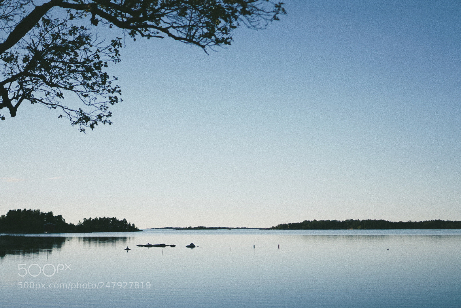 Sony Alpha a5000 (ILCE 5000) sample photo. Lake. photography