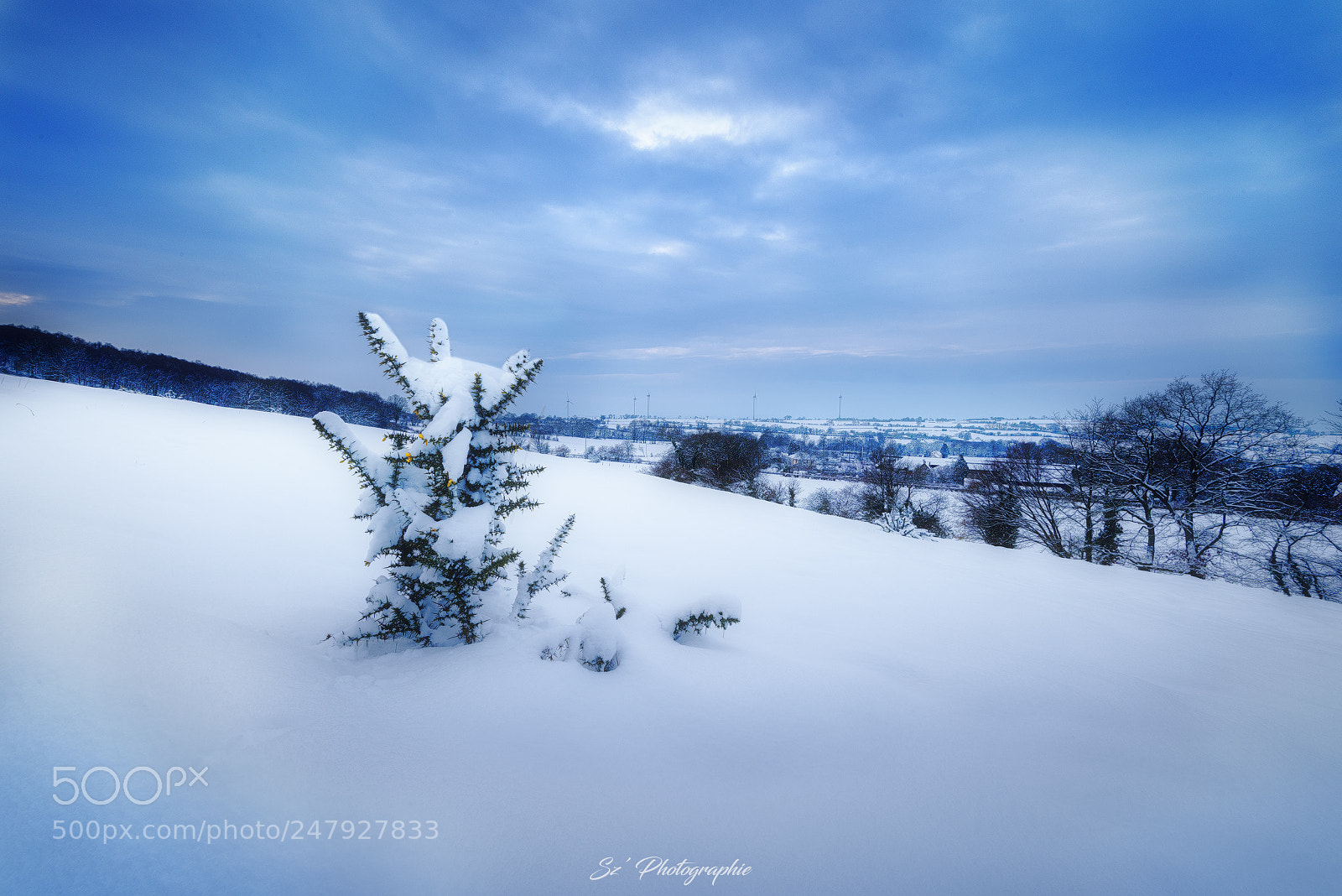 Nikon D810 sample photo. Snowy landscape - paysage photography